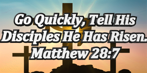 Matthew28:7 video and Jpeg